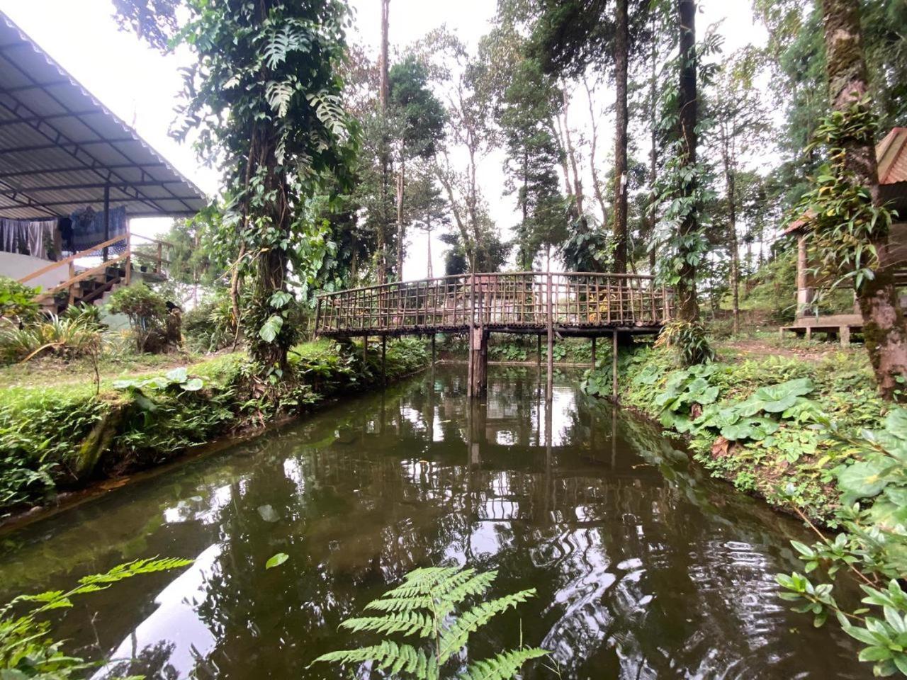 Magnolia Farmhouse And Homestay Darjeeling  Exteriör bild