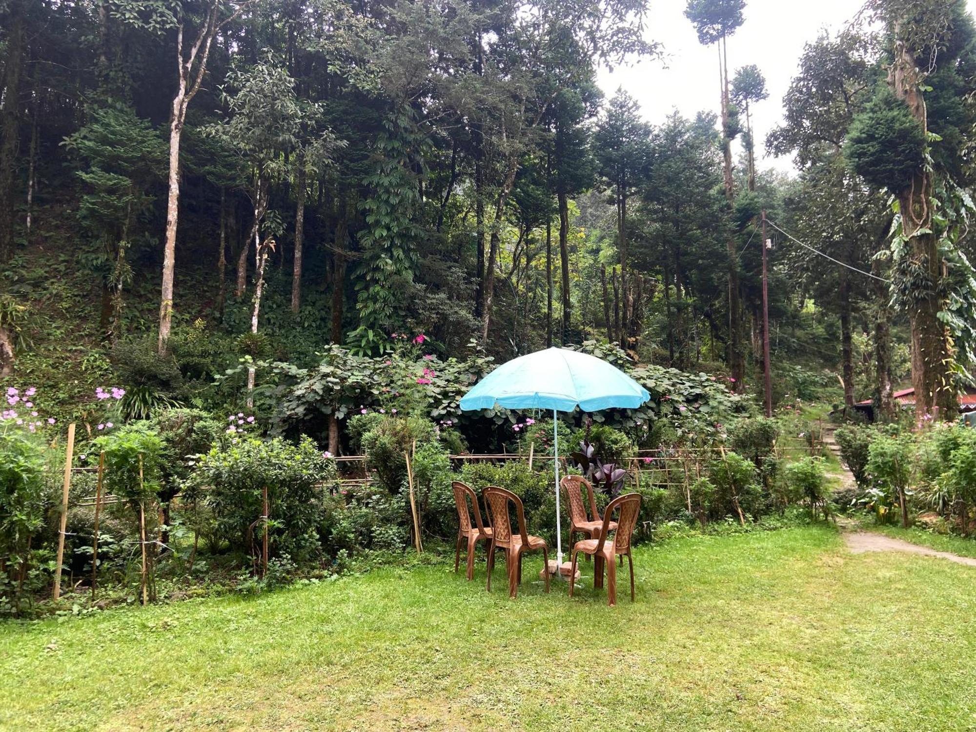 Magnolia Farmhouse And Homestay Darjeeling  Exteriör bild